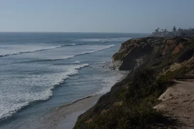 DSC_7003 (Large).JPG